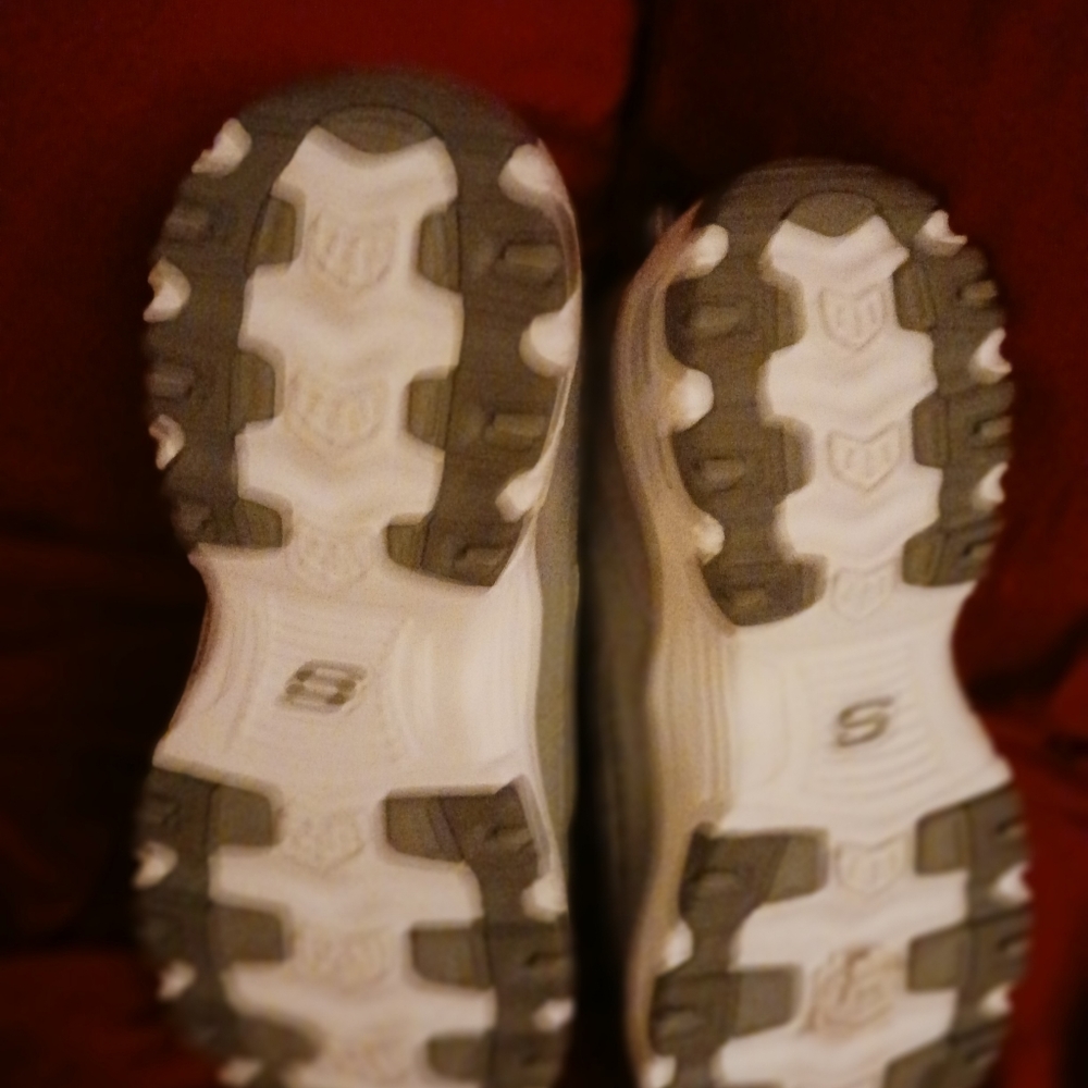 Women's Skechers sneakers